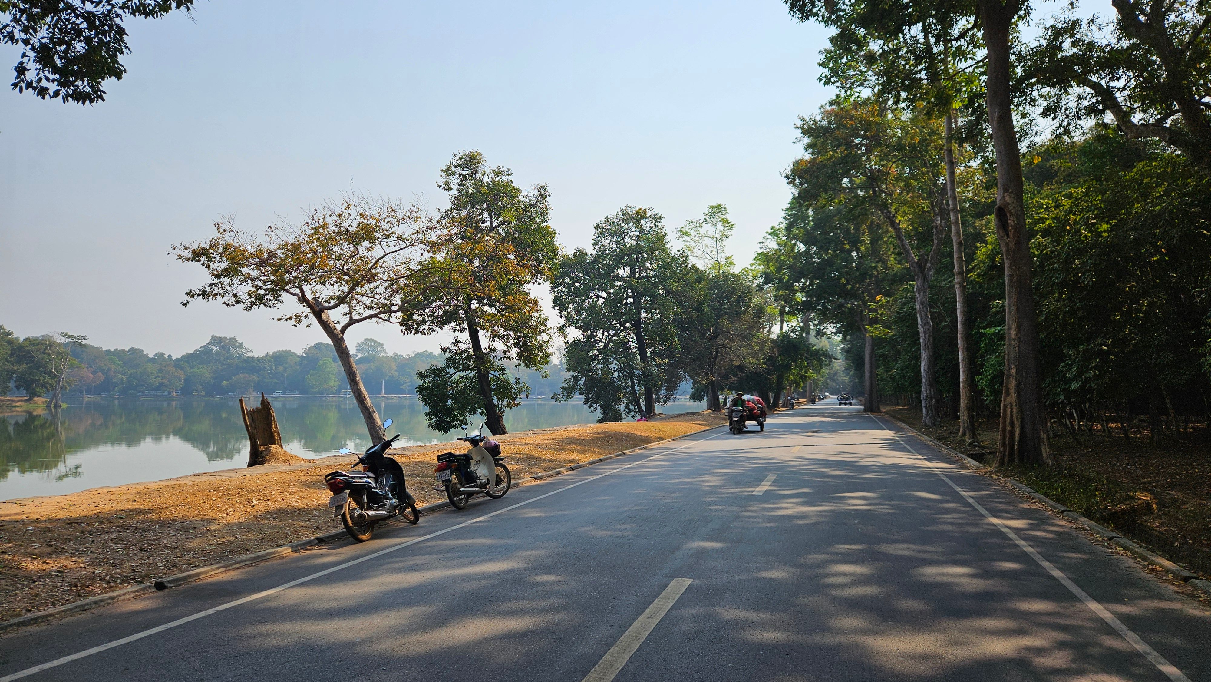 The tree-lined road running through the Angkor Archaeological Park