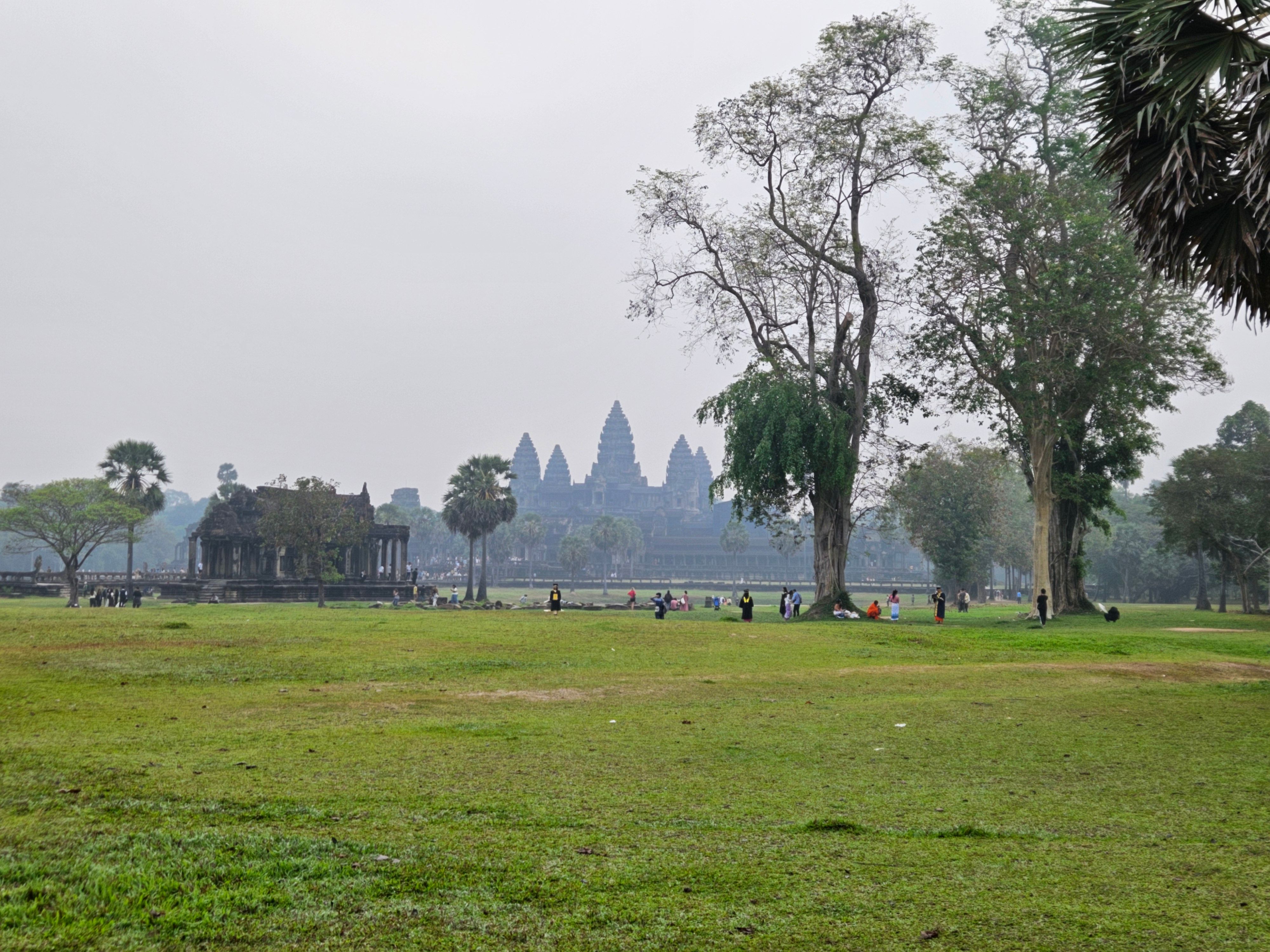 Angkor Wat's towers rising above the trees, seen across the park