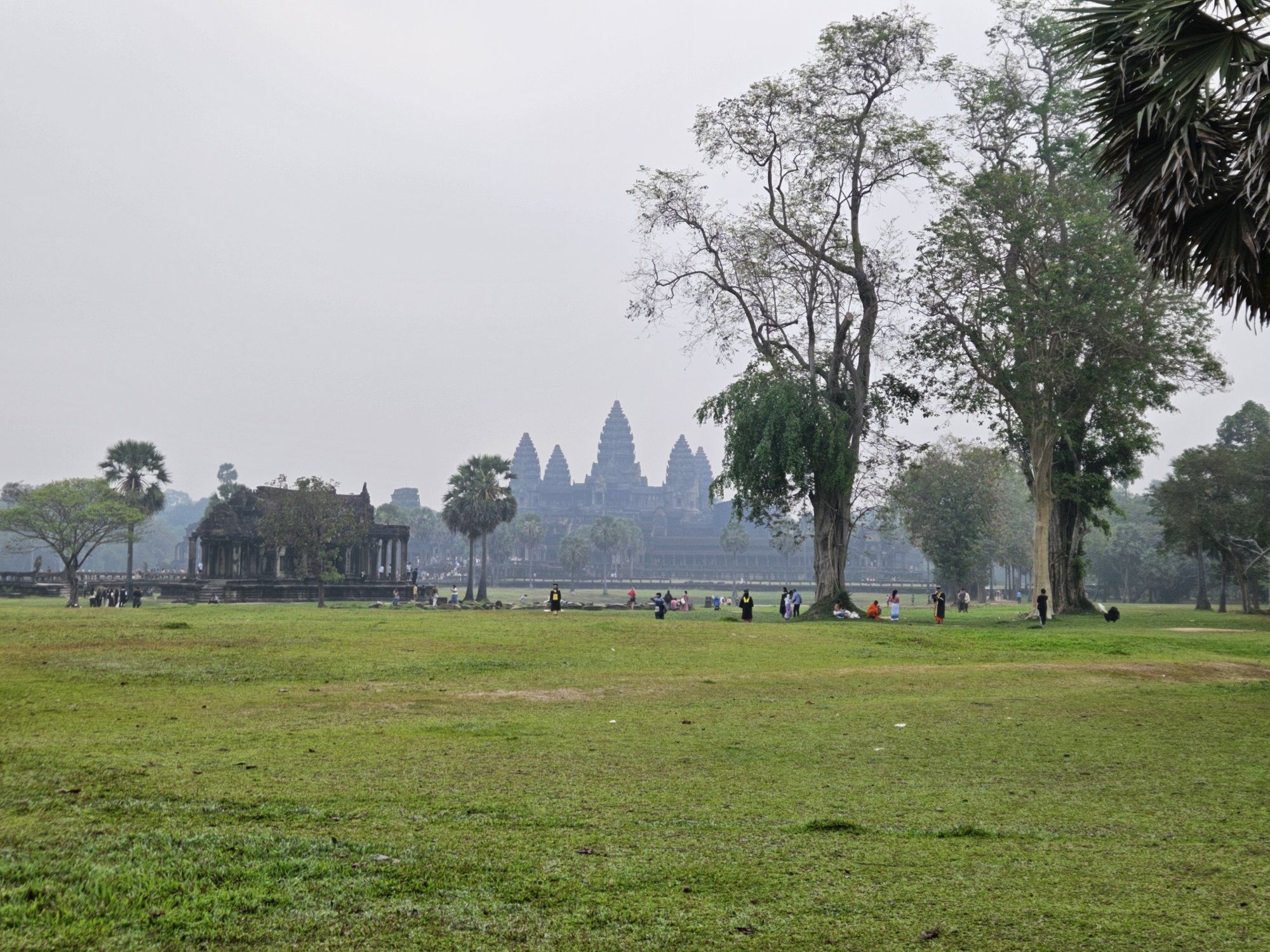 Angkor Wat's towers rising above the trees, seen across the park