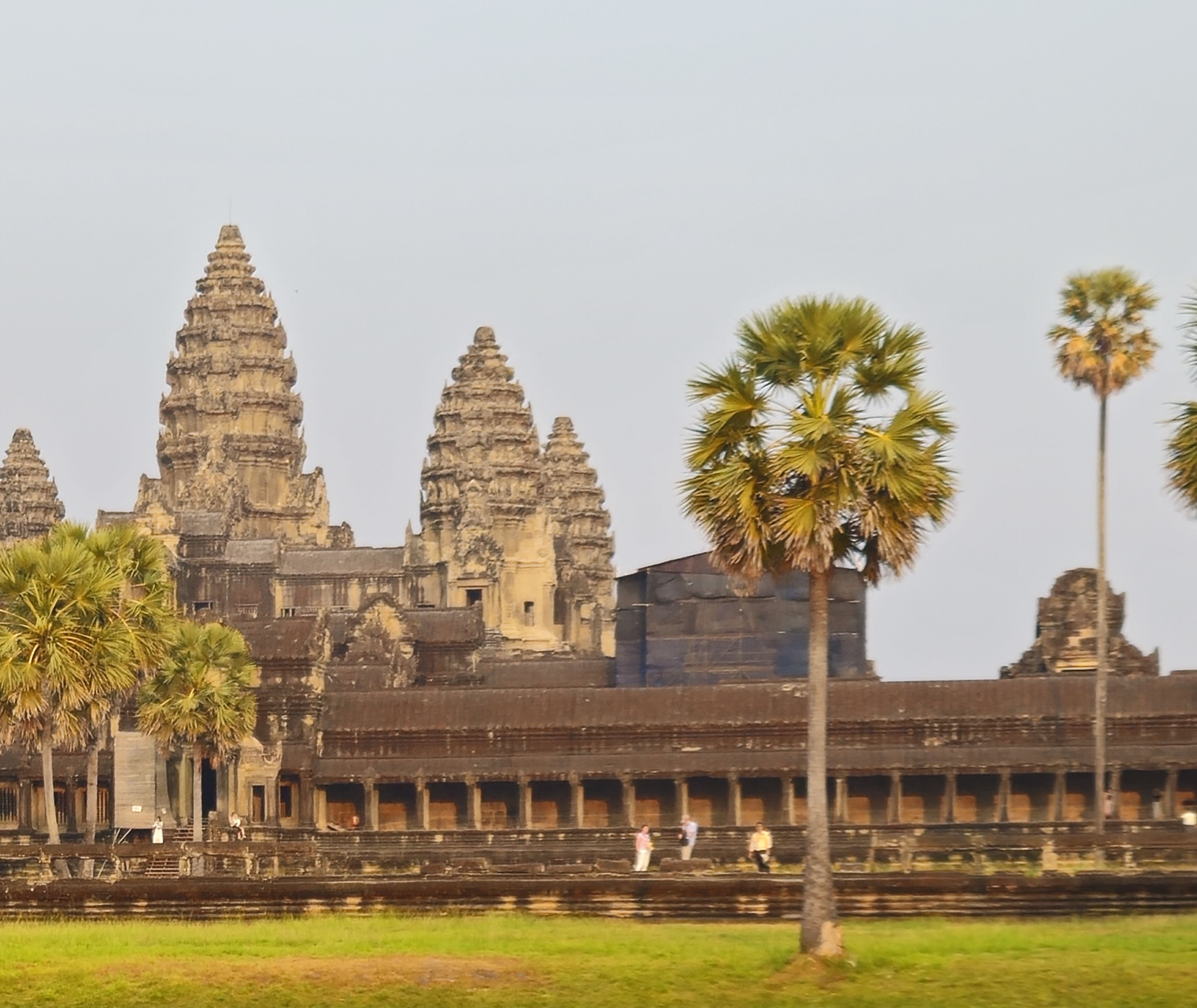 Angkor Wat's towers and galleries seen across the moat, framed by palms