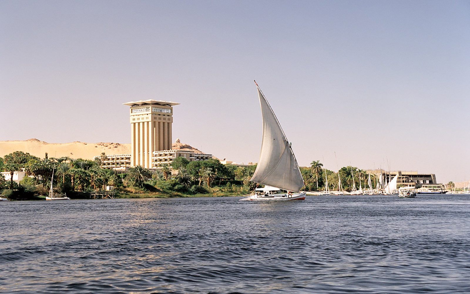 A traditional felucca sailing boat with a white lateen sail gliding down the Nile at Aswan, palm-lined banks behind