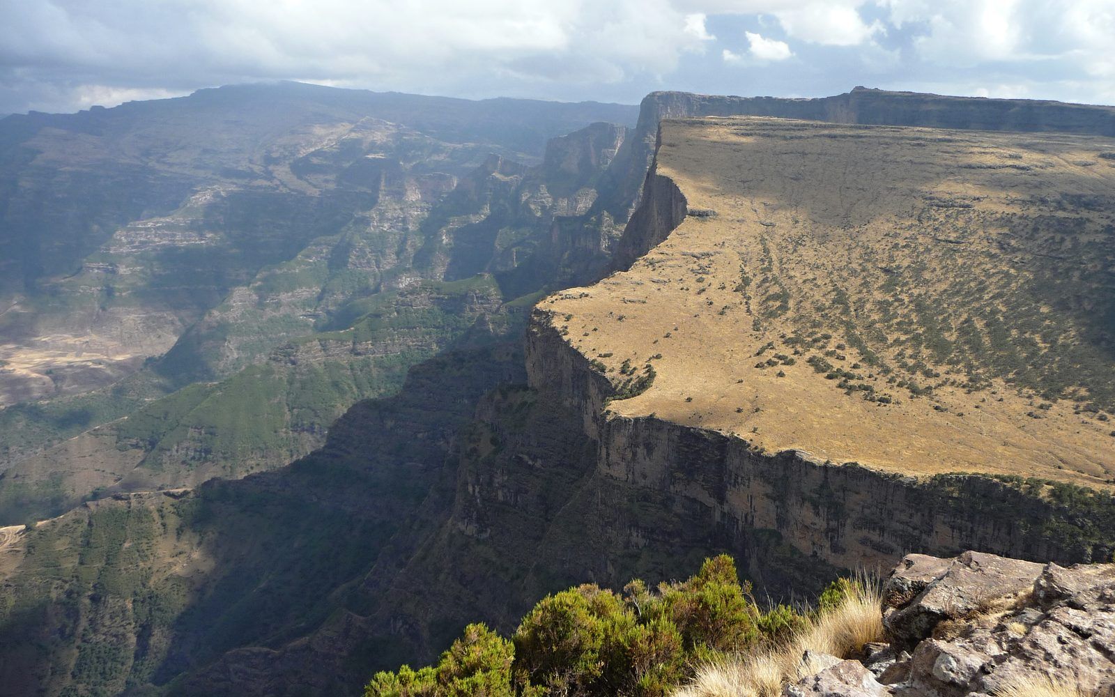 The jagged escarpment of the Simien Mountains at dawn, mist filling the valleys below the plateau