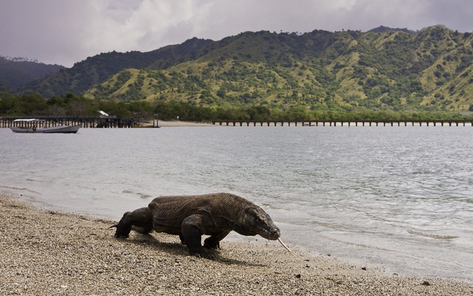 Indonesia Beyond Bali: Flores, Sumba and the Komodo Islands