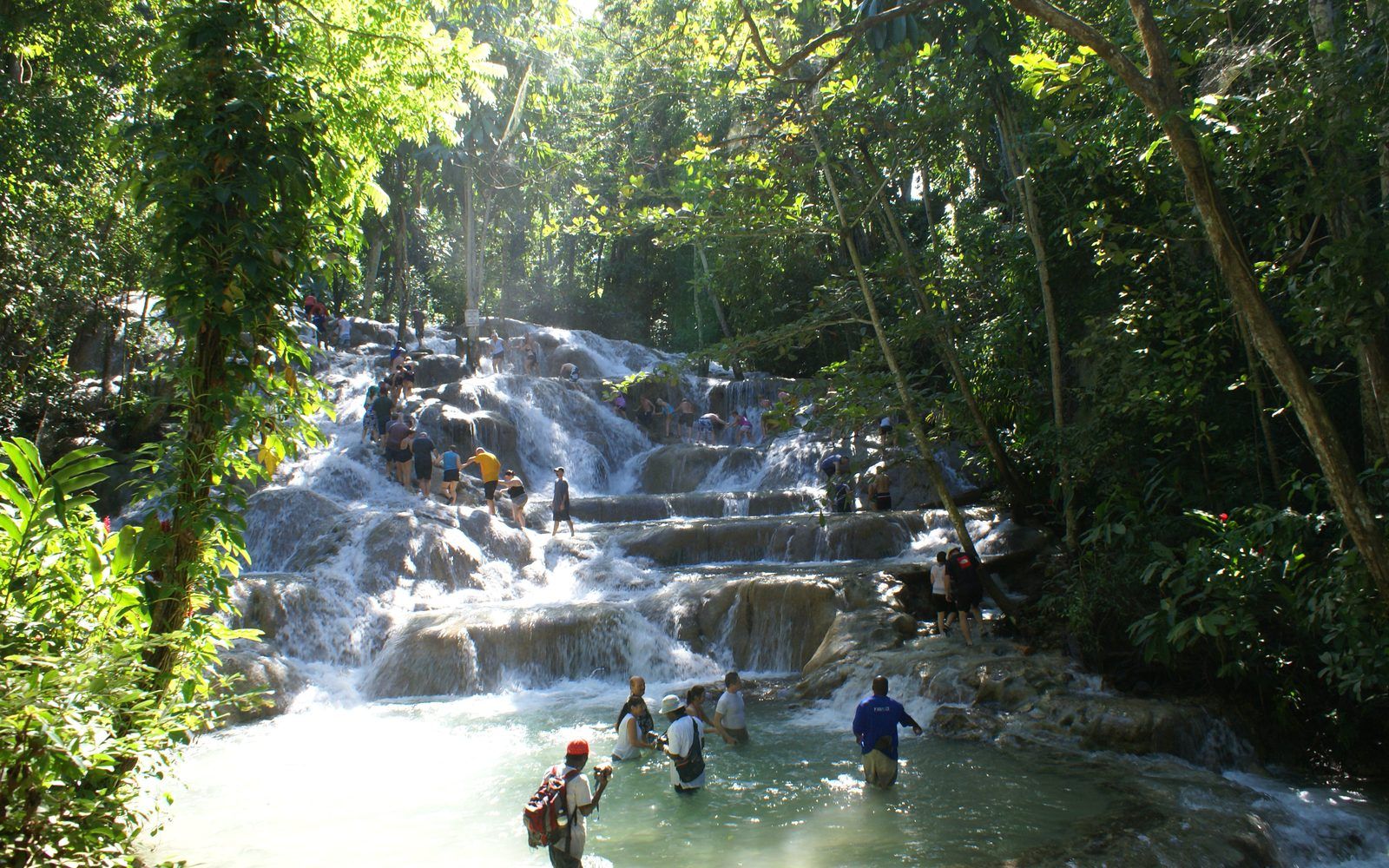 Jamaica in 2026: Blue Mountain Coffee, Reggae Roots and a Coastline Reborn