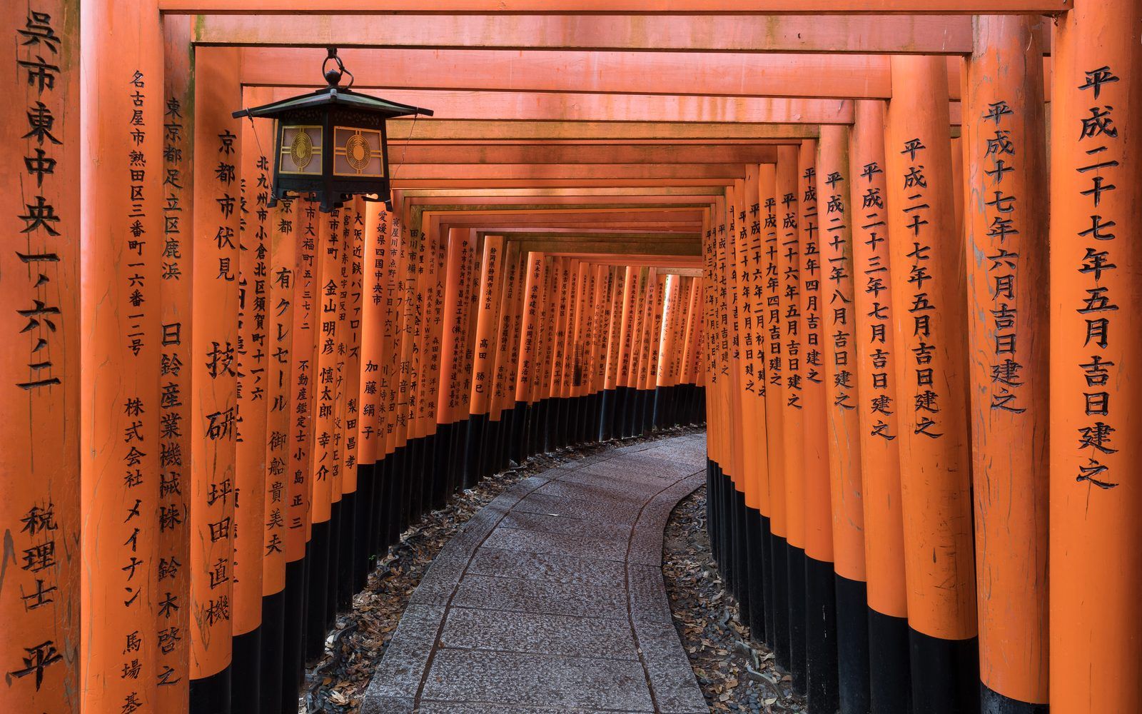The vermilion torii gates of Fushimi Inari, Kyoto