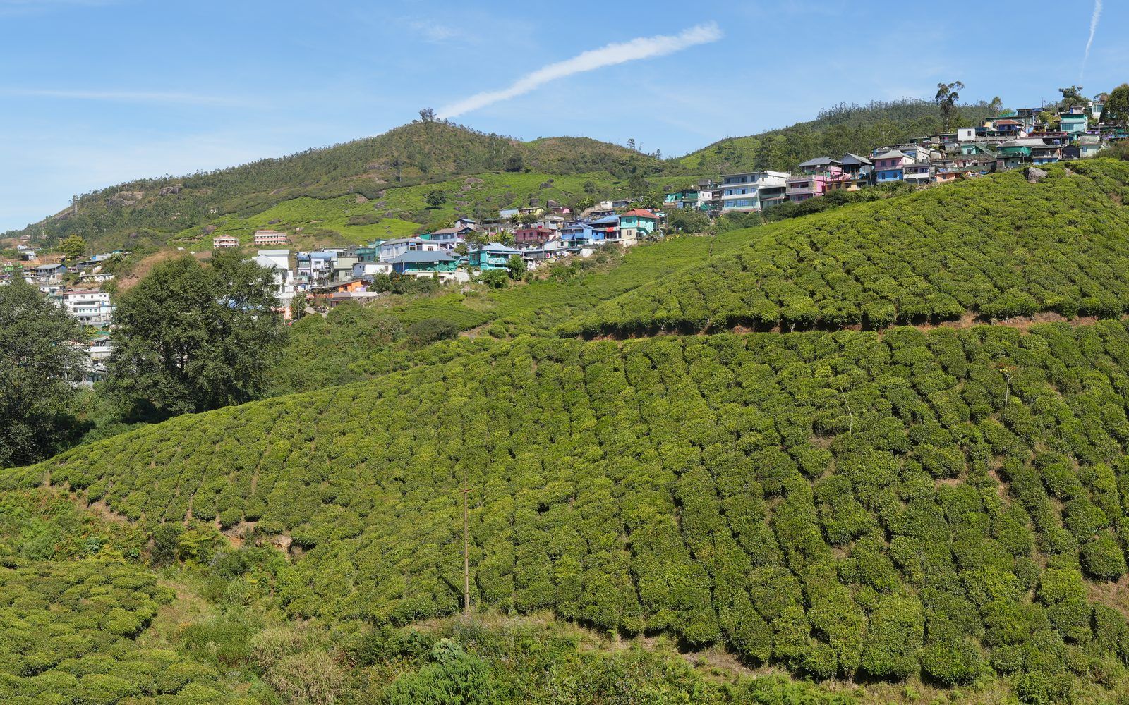 Rolling tea gardens of Munnar
