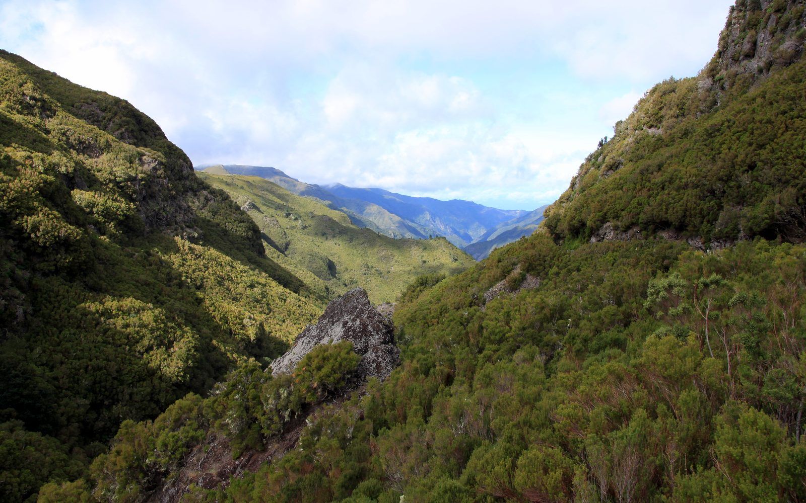 A levada trail winding through Madeira's laurel forest