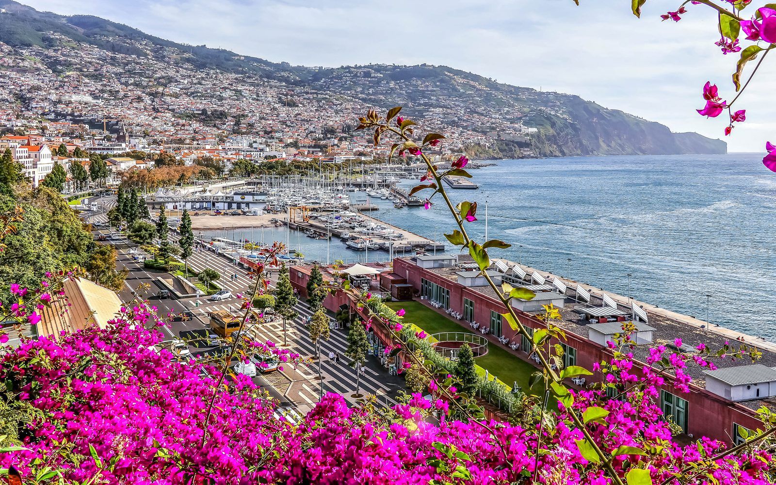 Madeira: Why Portugal's Wild Atlantic Island Tops 2026's Trending List