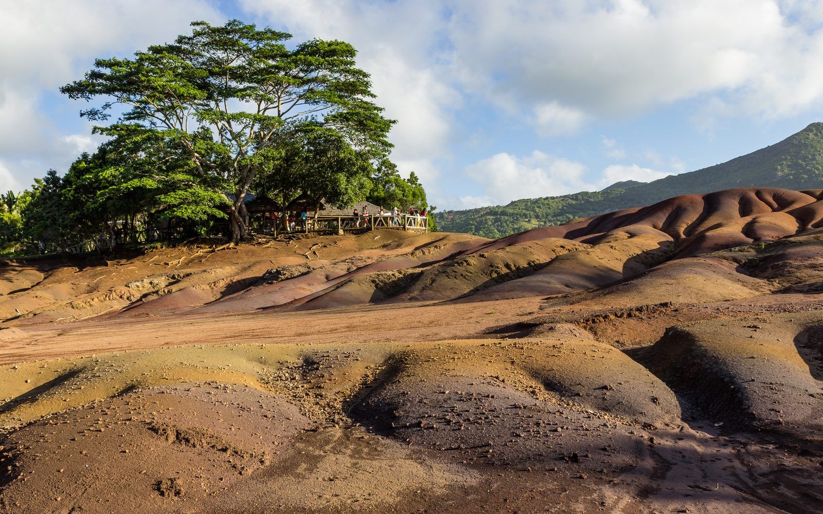The undulating red, violet and ochre dunes of the Seven Coloured Earths geopark at Chamarel, southern Mauritius