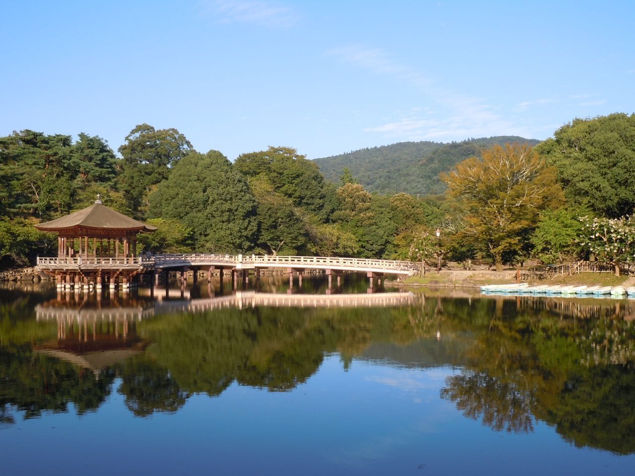 Arashiyama, Fushimi Inari & Nara