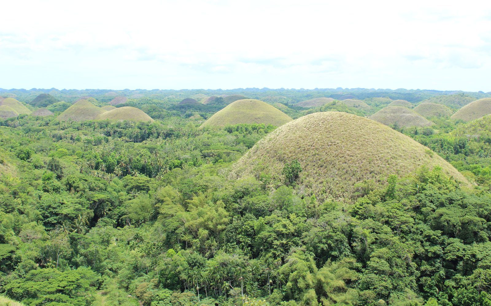 The Chocolate Hills of Bohol