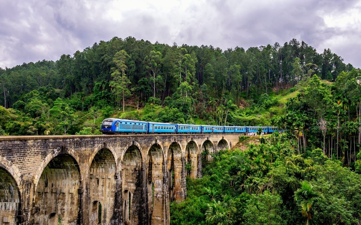 Sri Lanka Family Island Circuit: Coast, Culture & Hill Country