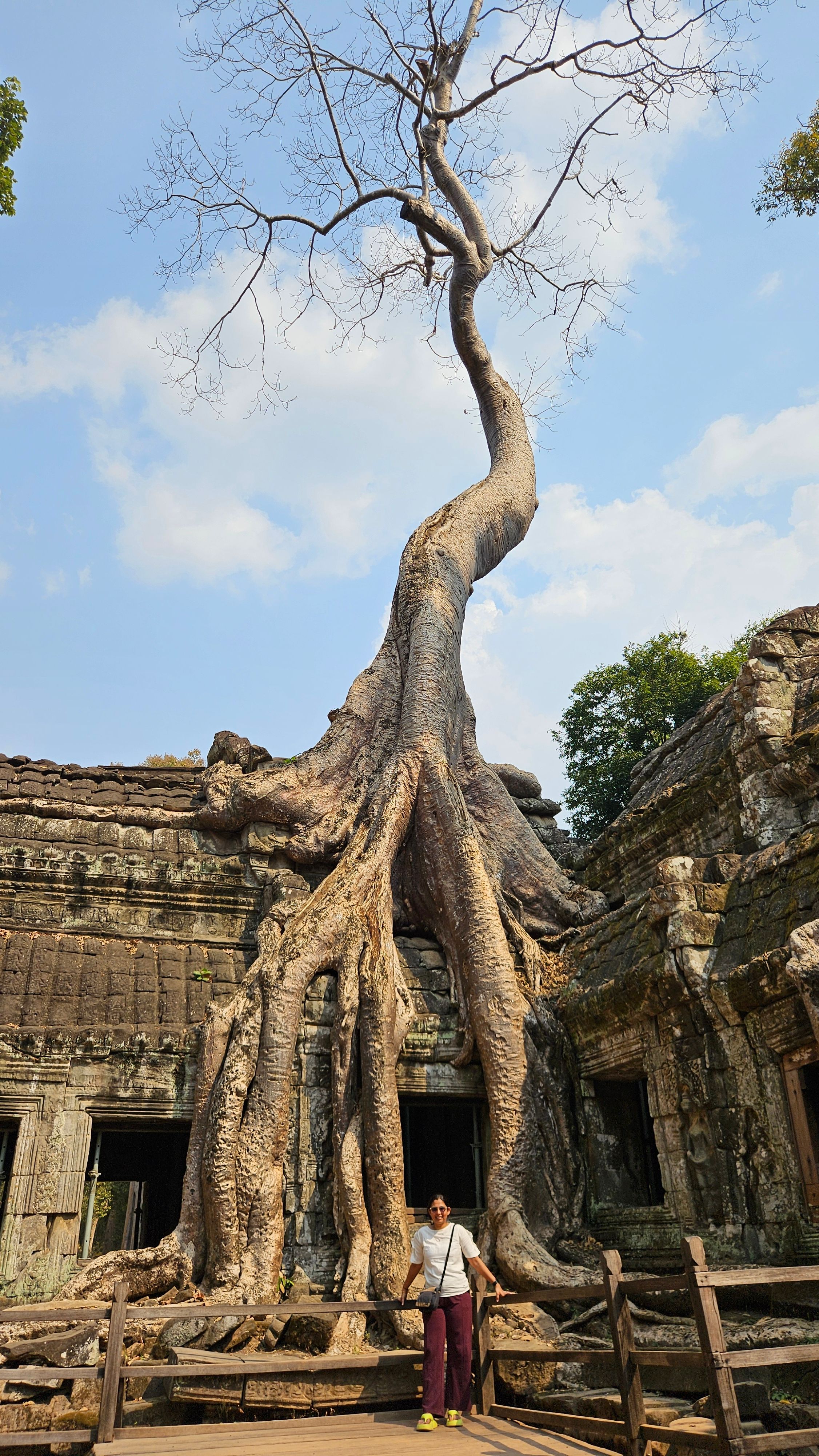 Ta Prohm: The Temple in the Trees, and the Ancestor Brahma Mystery