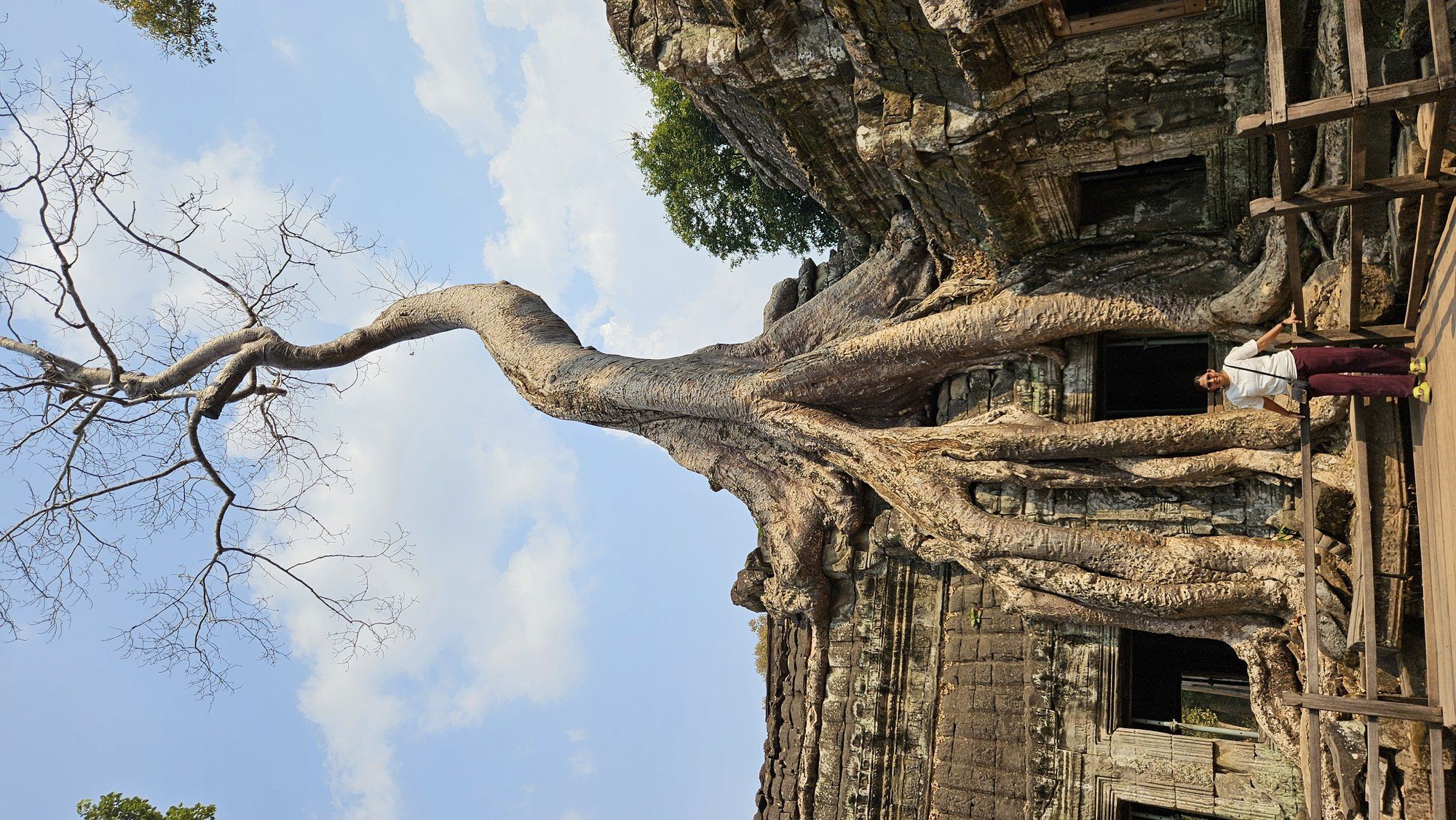Ta Prohm: The Temple in the Trees, and the Ancestor Brahma Mystery