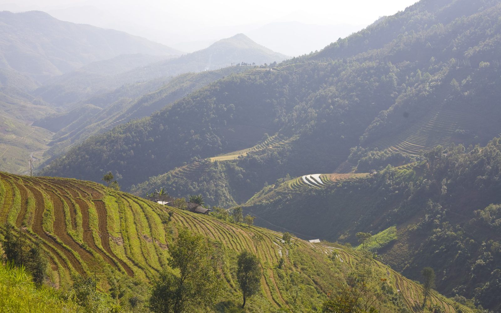 Terraced mountains along the Ha Giang loop