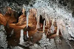 Jenolan Caves
