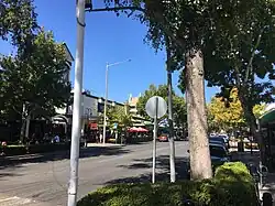 Wagga Wagga