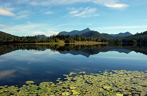 Wollumbin National Park