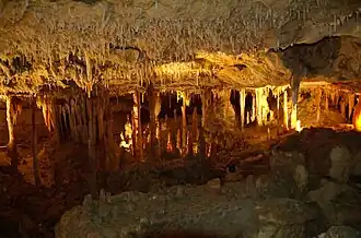 Naracoorte Caves National Park, South Australia, Australia
