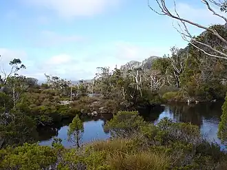 Cradle Mountain