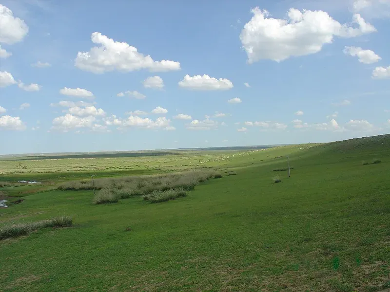 Bashang Grasslands