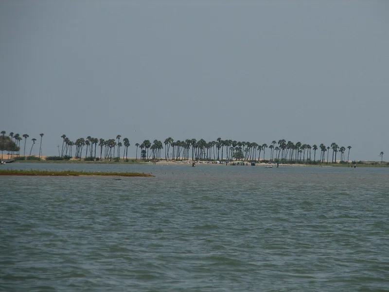 Pulicat Lake