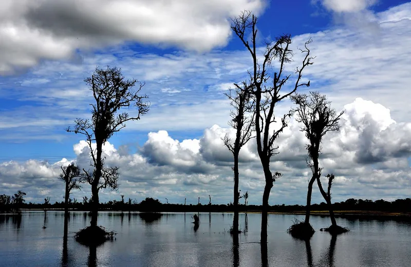 Dibru-Saikhowa National Park