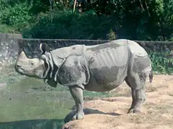 Guwahati