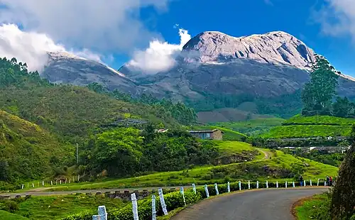 Eravikulam National Park