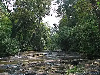 Periyar National Park