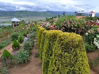 Kakching