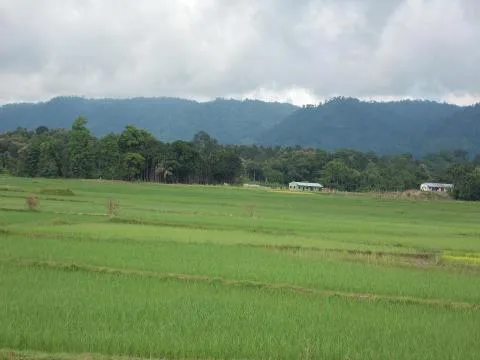 Jampui Hills, Tripura, India