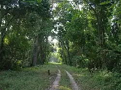 Gorumara National Park