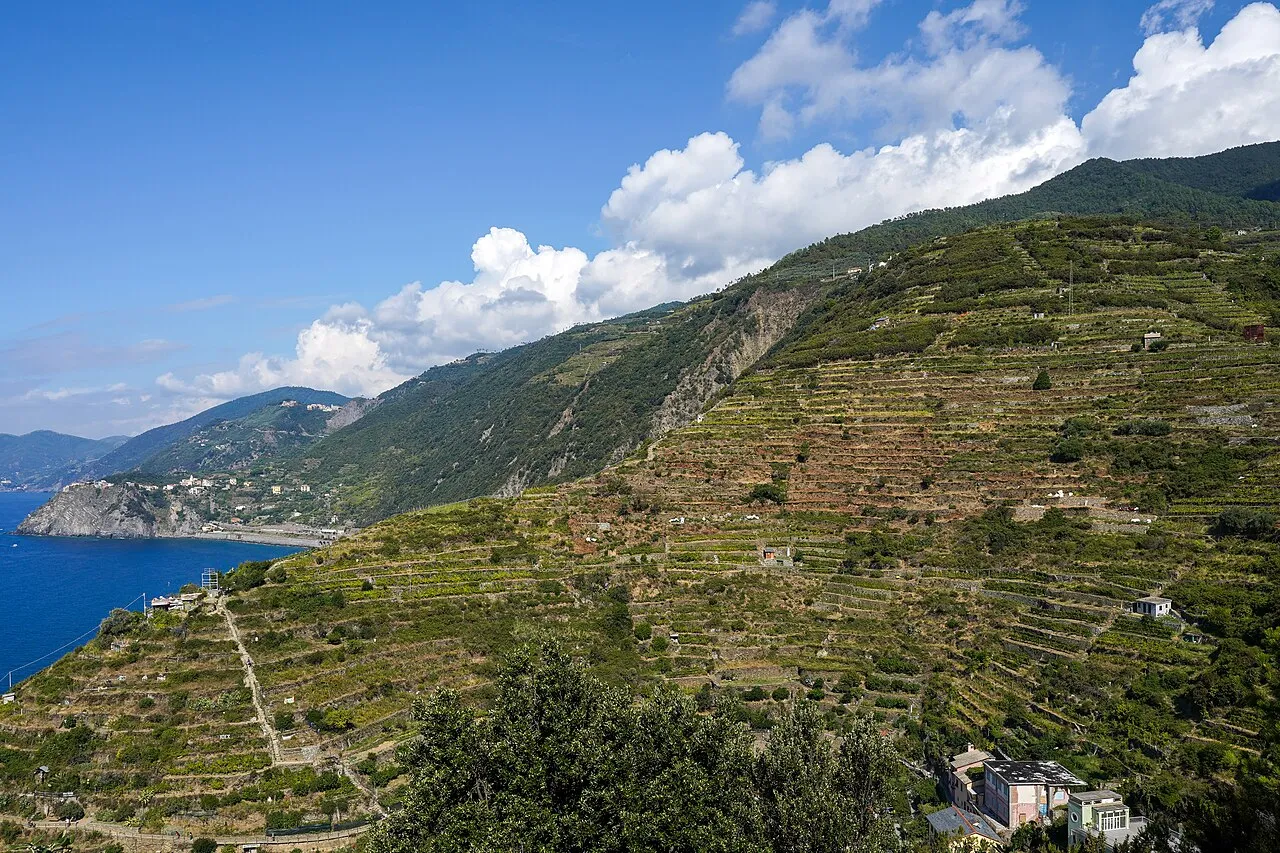 Cinque Terre National Park — photo 3