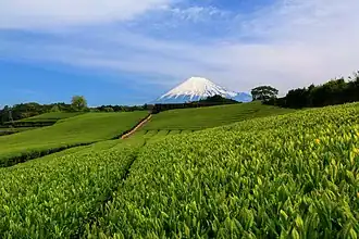 Fuji