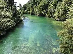 New Zealand