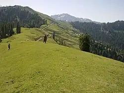 Bagh