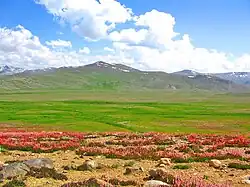 Deosai National Park