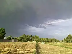 Charsadda