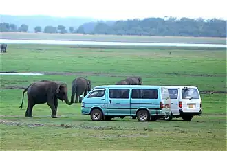 Minneriya National Park