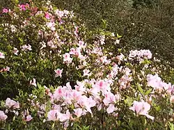 Yangmingshan National Park