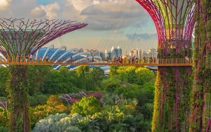 Supertrees at Gardens by the Bay, Singapore